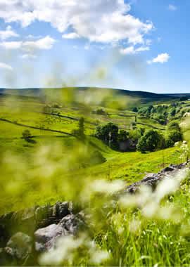 The Durham Dales