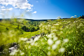 The Durham Dales 