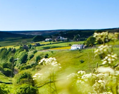 Durham Tourism Management Plan