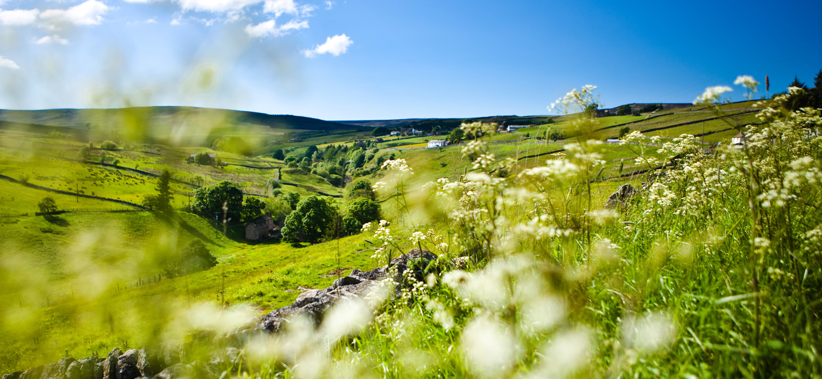 Durham Dales