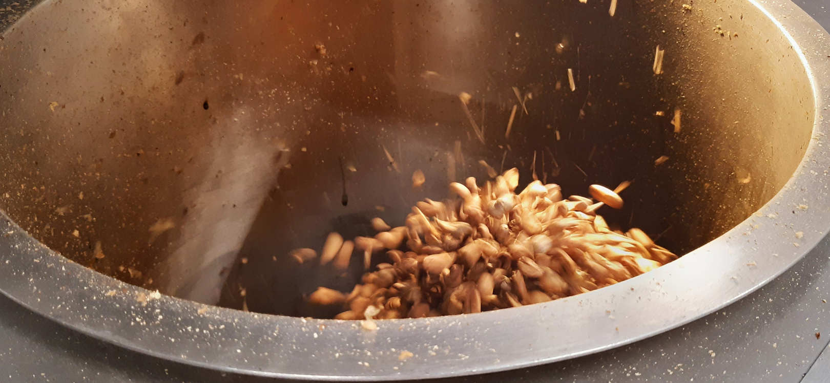 Coffee beans in a bowl