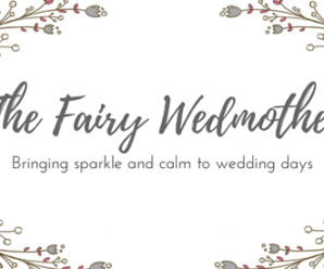 The Fairy Wedmother