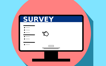 Skills Survey extension