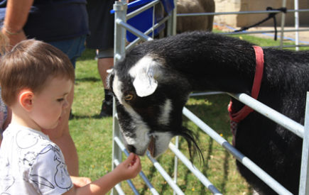 Summer’s sorted, with affordable fun for all the family at Ushaw