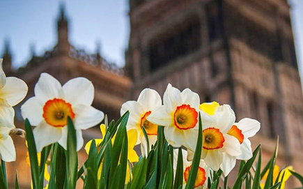 Spring flowers outside of Durham Cathedral