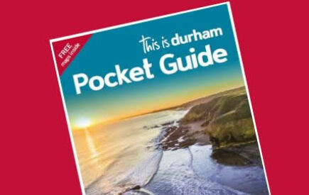 Pocket Guide 2023