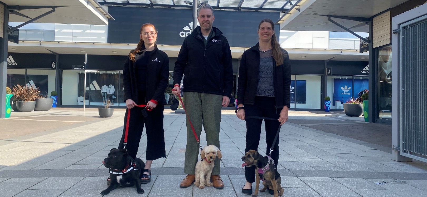 Digital Marketing Assistant Chelsea Pashley with Buzz the dog, Centre Manager Richard Kaye with Juno the dog and Operations Manager Jackie Johnson with Rosie the dog at Dalton Park