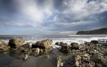 Successful partnership promoting the Durham Coast renewed