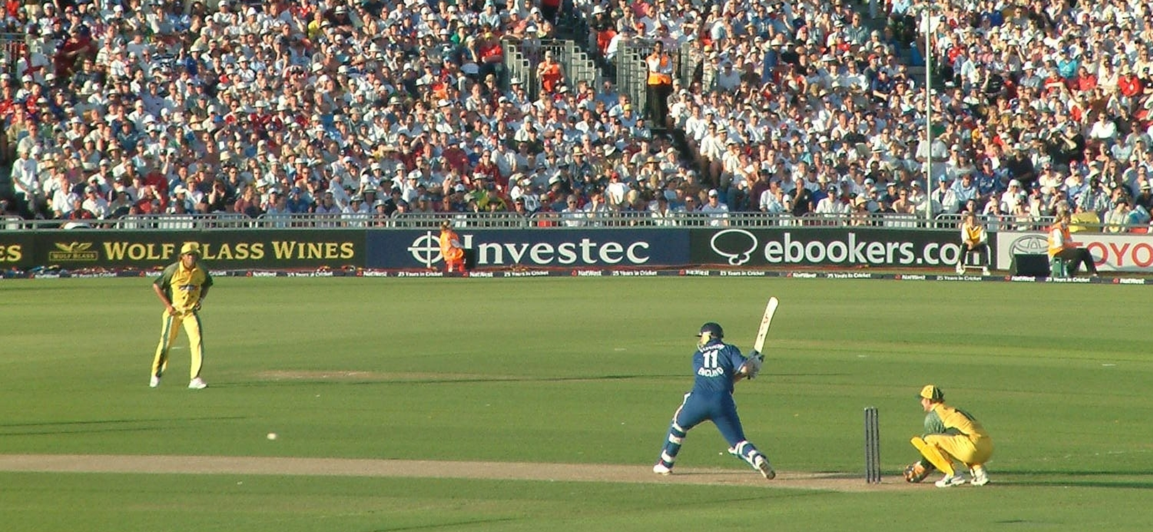 People playing cricket