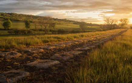 Full steam ahead – 200 years of train travel to be marked with celebrations