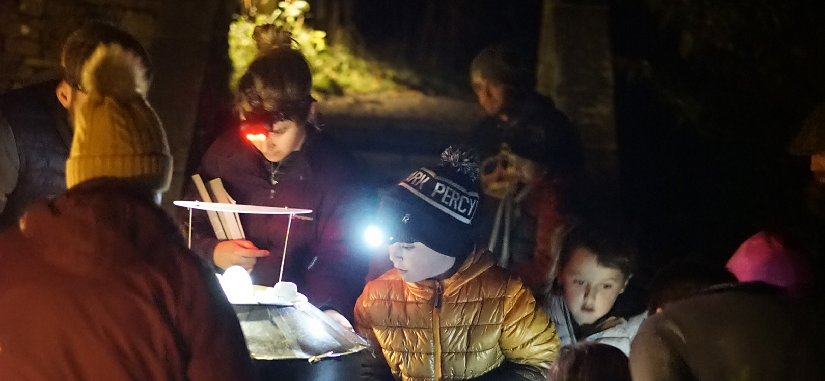 People around a table at night trapping moths.