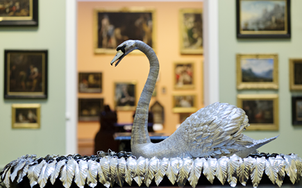Funding win for Silver Swan conservation work