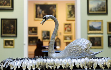 Funding win for Silver Swan conservation work