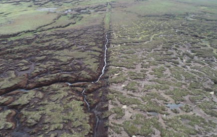 Largest ever peatland project completed in the North Pennines