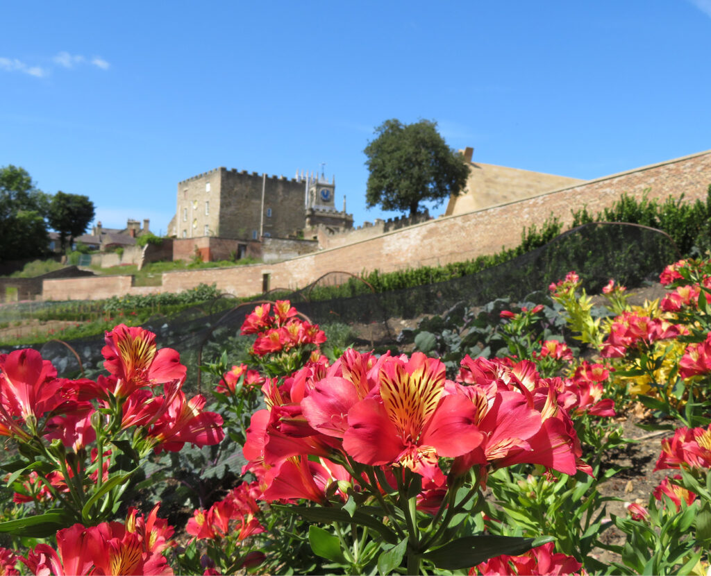 Auckland Castle gardens showing flowers with the castle in the background