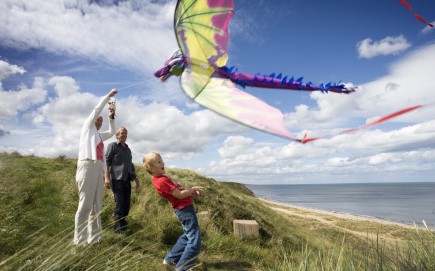 A family flying a kite