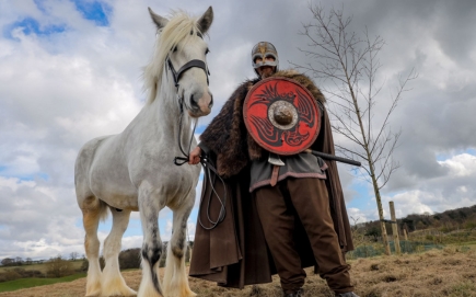 Majestic rare breed of horse arrives in County Durham meet Kynren's newest cast member