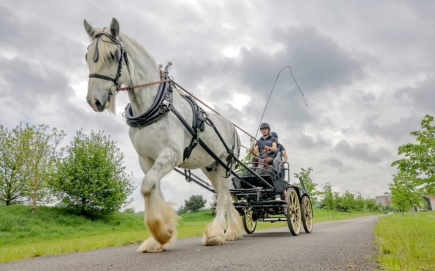  Kynren's latest recruit begins his training as the show prepares for its summer run