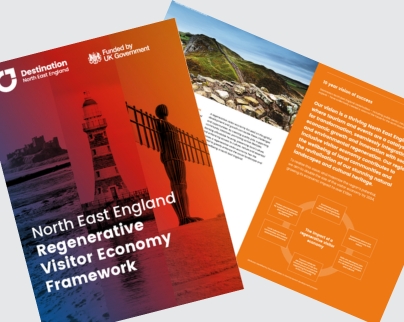 Front cover of the framework report