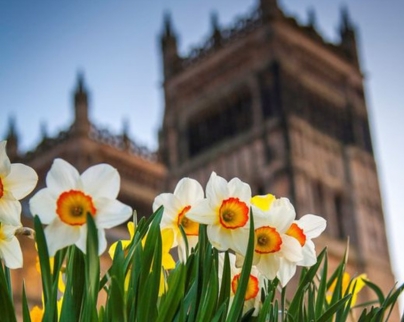 Seasonal Marketing Opportunities
