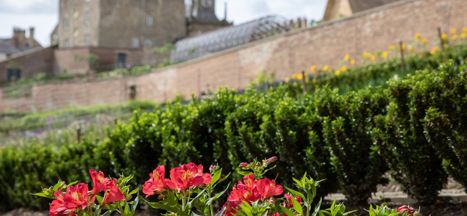 A view of the walled garden