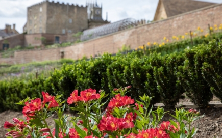  Auckland Palace’s Walled Garden becomes hive of activity