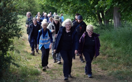 Volunteer at Lumiere: Applications open this Volunteers’ Week